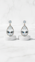 Platinum Clear Crystal Drop Earrings
